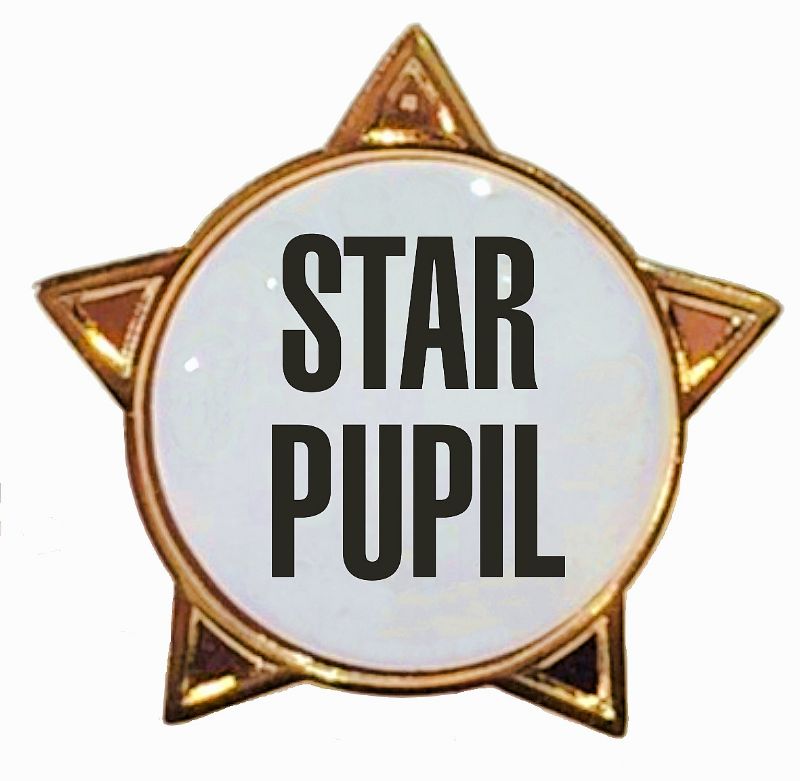 STAR PUPIL titled star badge